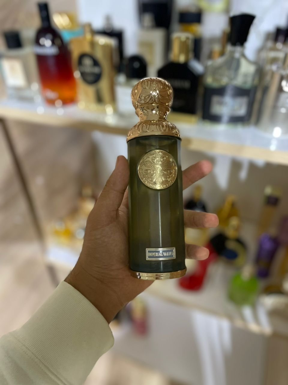 IMG-20251031-WA0005 IMG 20251031 WA0005