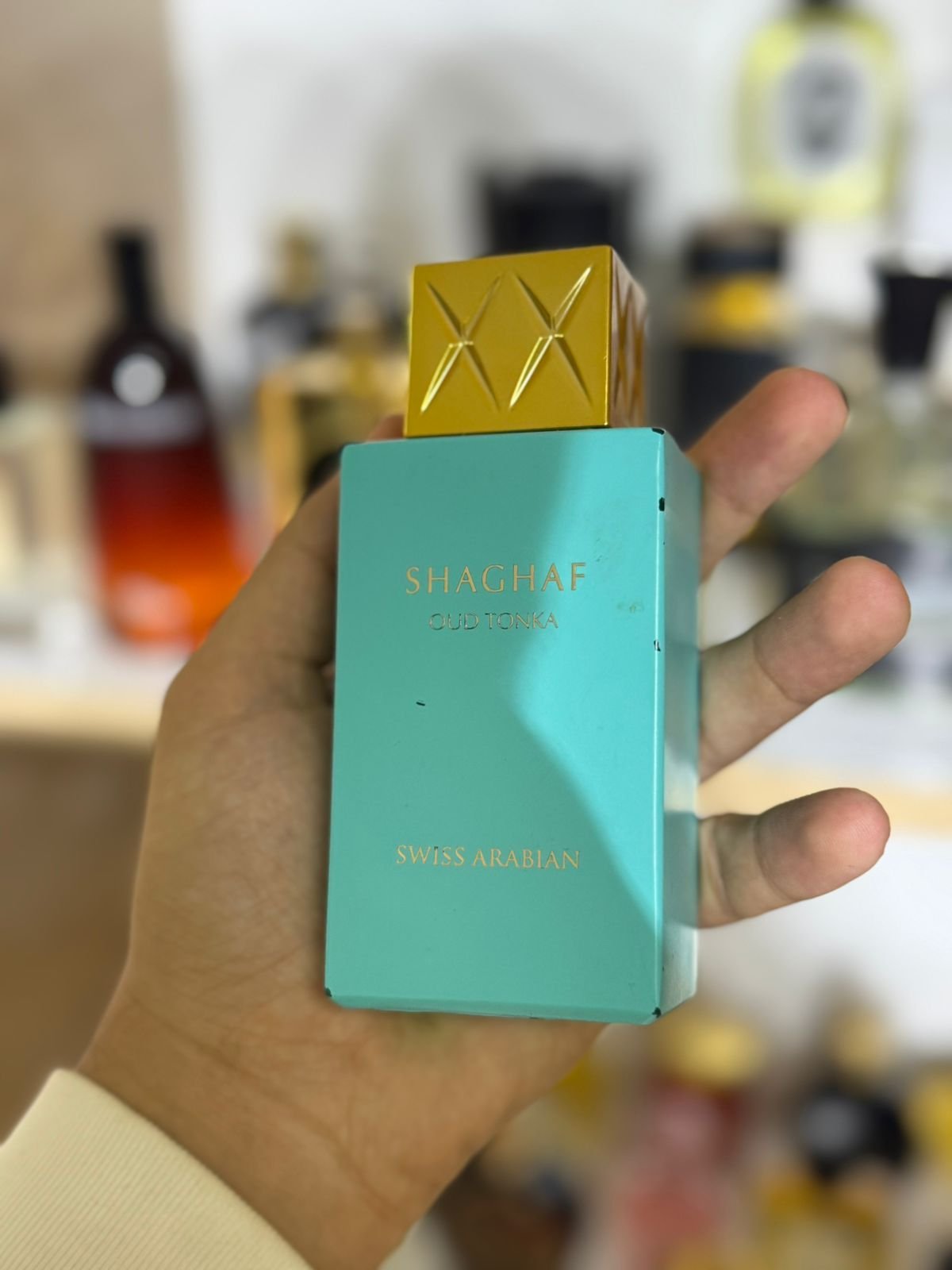 IMG-20251031-WA0187 IMG 20251031 WA0187