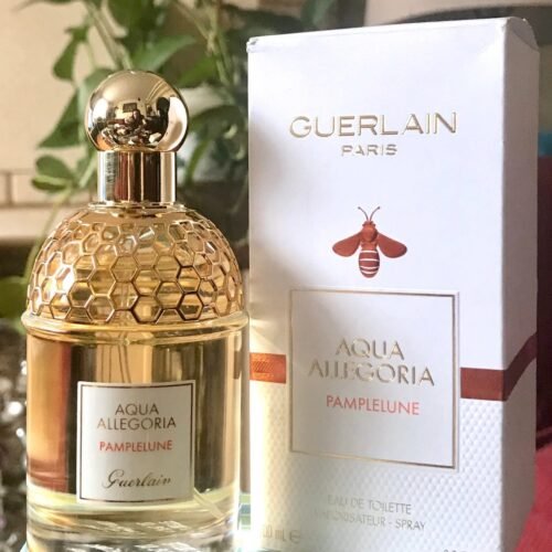 WhatsApp Image 2026 01 21 at 18.44.45